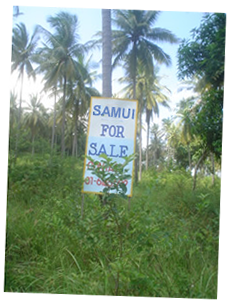 samui kabnd for sale sign